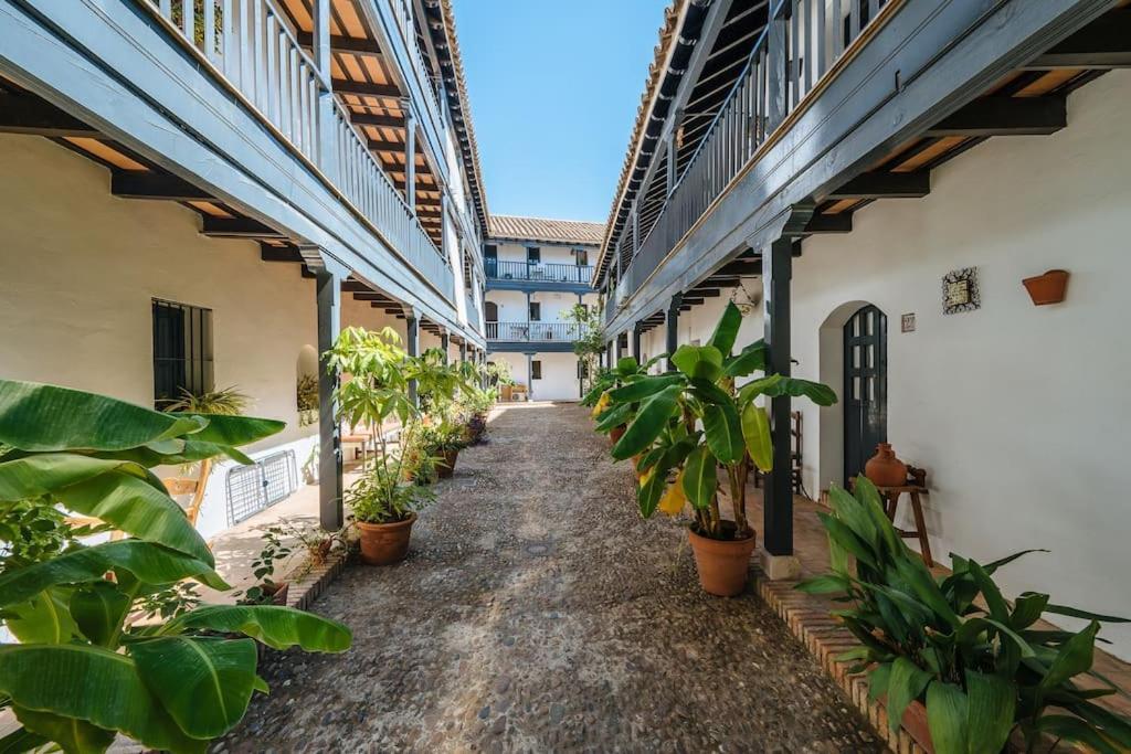 New In Traditional Building Of The Xvi Century Appartement
